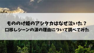 もののけ姫　アシタカ　なぜ泣いた　涙　口移し